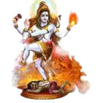 Pandit for rudrabhishek puja in bangalore