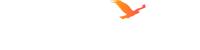 white-lg.png